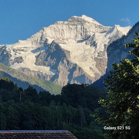 Mountain - Lake Apartment 3 Вільдерсвіль Екстер'єр фото